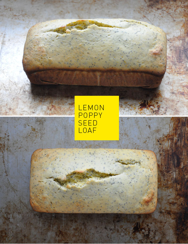 lemon poppy seed loaf recipe